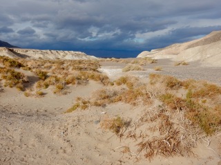 Near Salt Creek, Death Valley